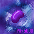 Unidentified item