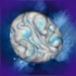 Unidentified item