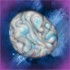 Unidentified item